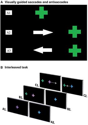 Detecting Cognitive Impairment in Idiopathic Intracranial Hypertension Using Ocular Motor and Neuropsychological Testing